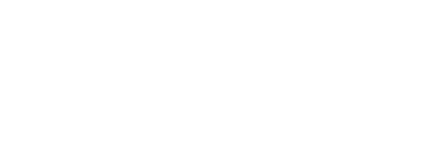 MagVision