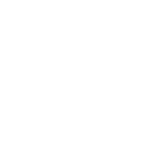 MagVision